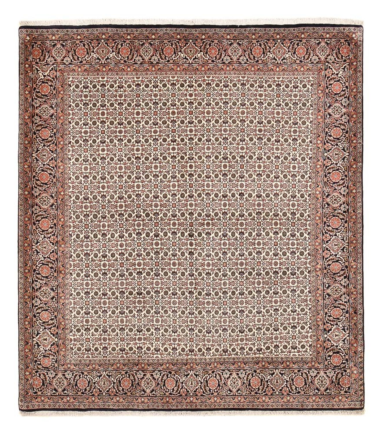Perserteppich - Bidjar - 243 x 210 cm - hellbraun
