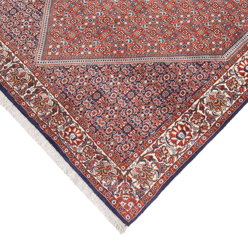 Perserteppich - Bidjar - 245 x 136 cm - rost