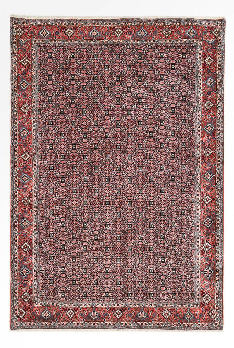Perserteppich - Bidjar - 301 x 203 cm - rost