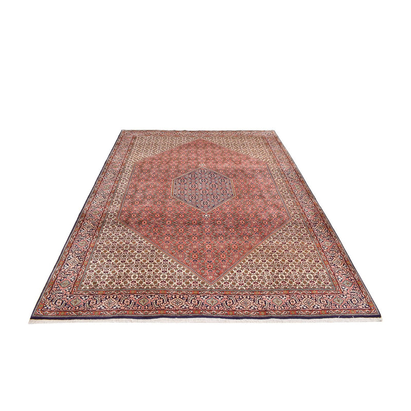 Perserteppich - Bidjar - 350 x 250 cm - rost