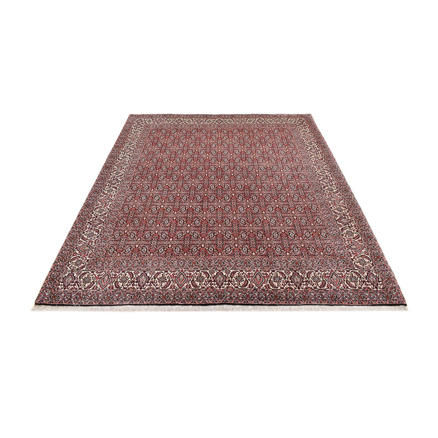 Perserteppich - Bidjar - 250 x 204 cm - rost