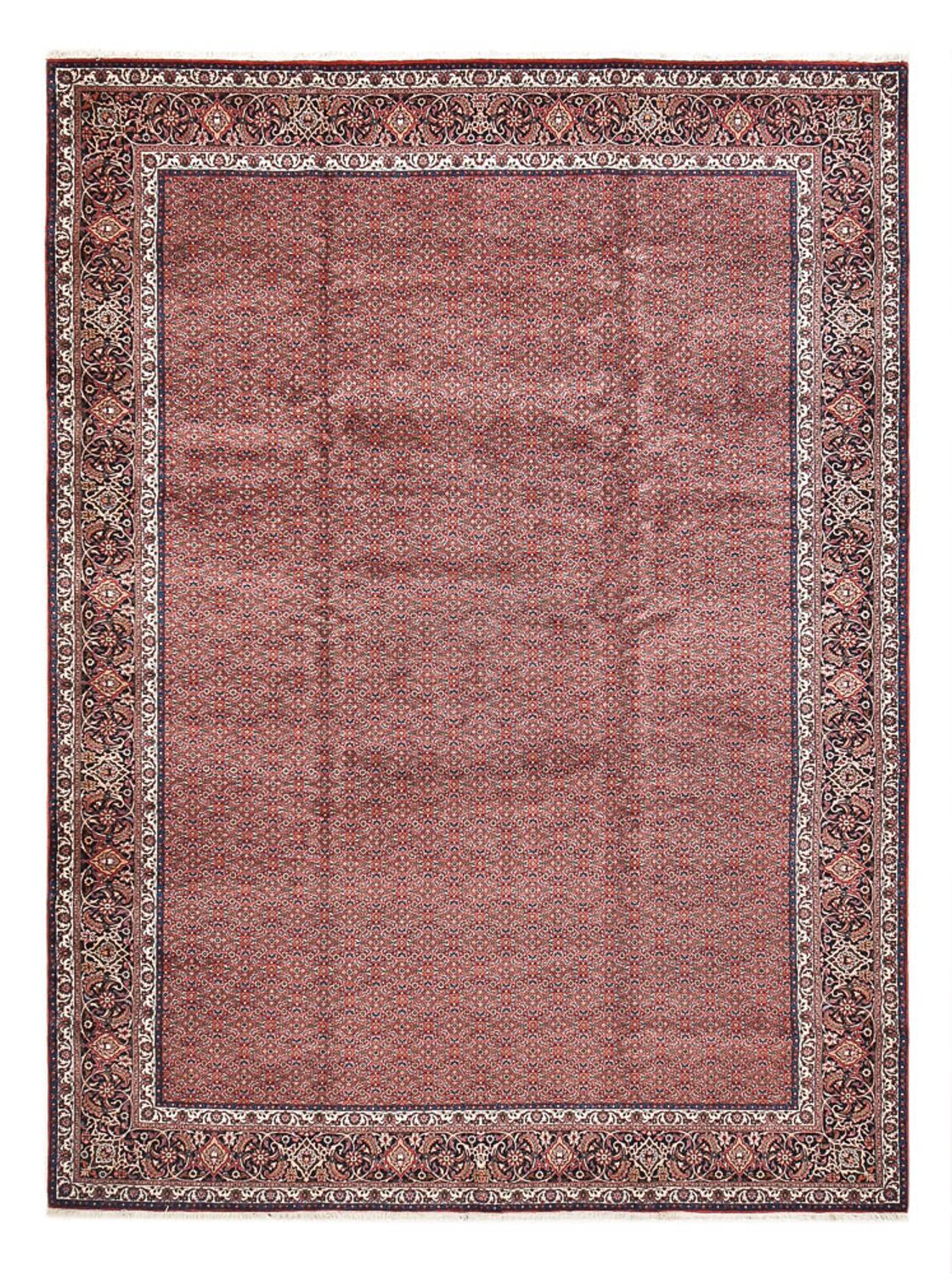 Perserteppich - Bidjar - 490 x 350 cm - bordeauxrot