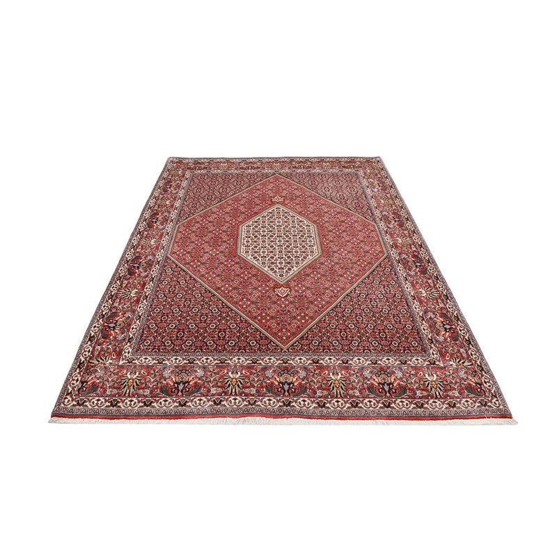 Perserteppich - Bidjar - 295 x 209 cm - rost