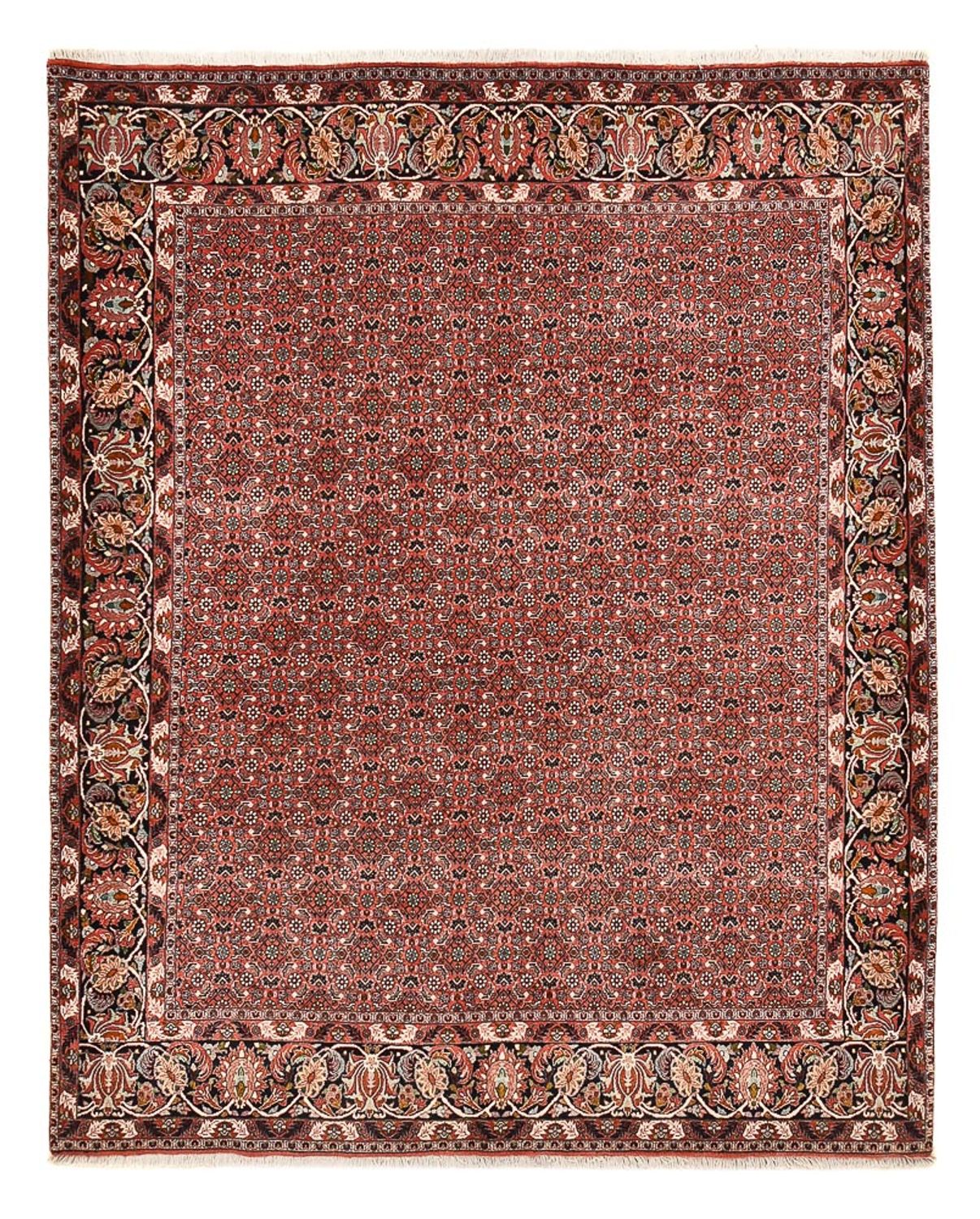 Perserteppich - Bidjar - 250 x 200 cm - dunkelrot