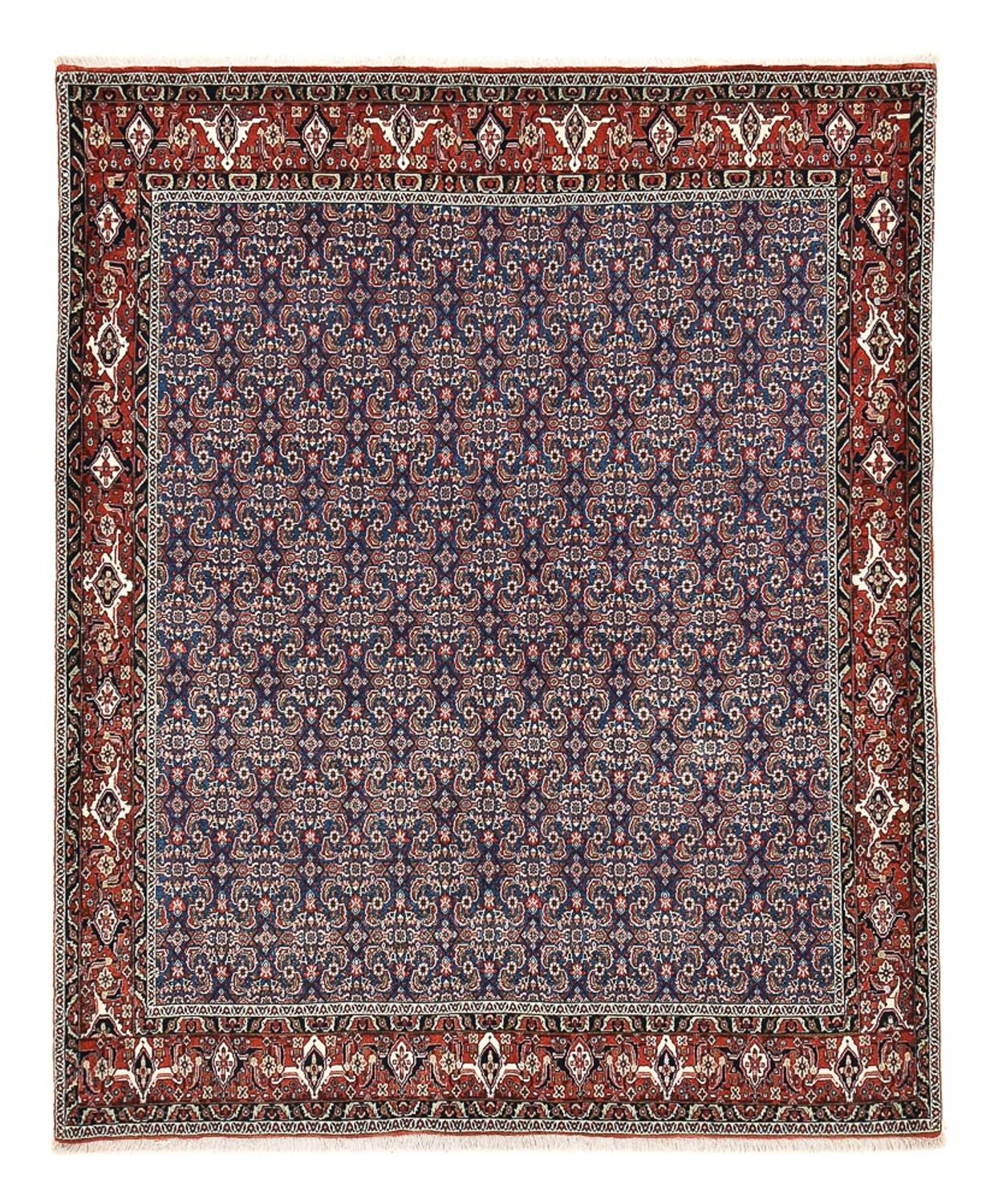 Perserteppich - Bidjar - 246 x 201 cm - lila