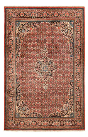 Perserteppich - Bidjar - 332 x 216 cm - rost