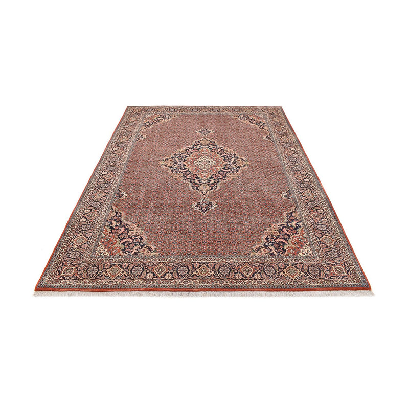 Perserteppich - Bidjar - 286 x 203 cm - rost