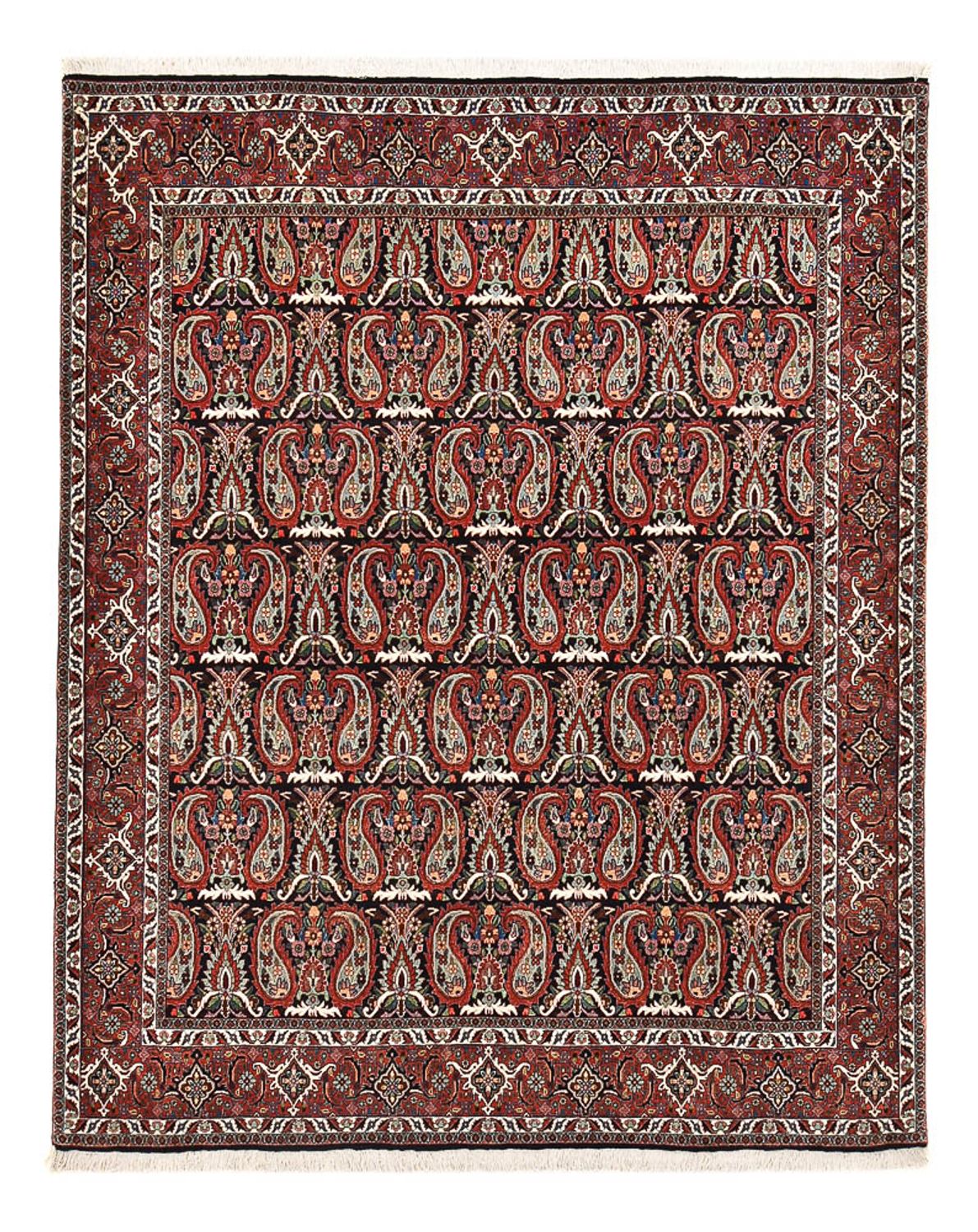 Perserteppich - Bidjar - 248 x 208 cm - rost