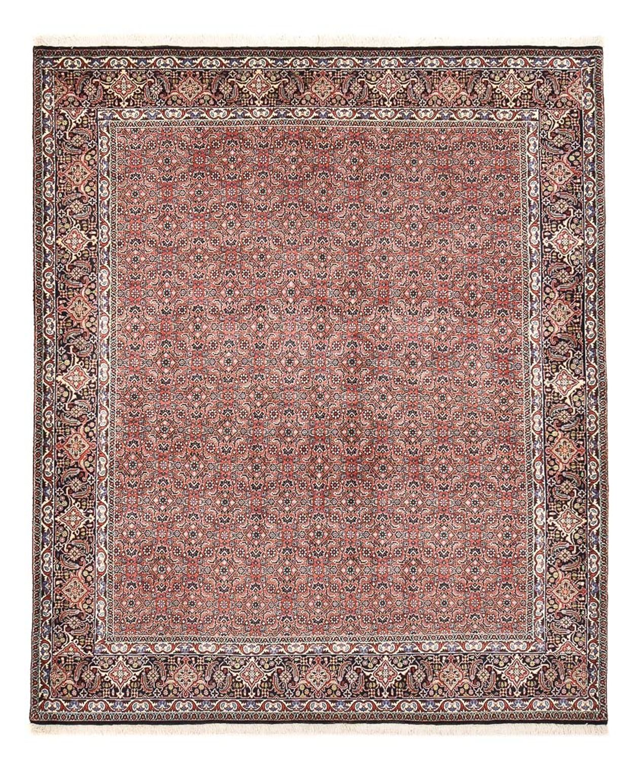 Perserteppich - Bidjar - 244 x 204 cm - rost