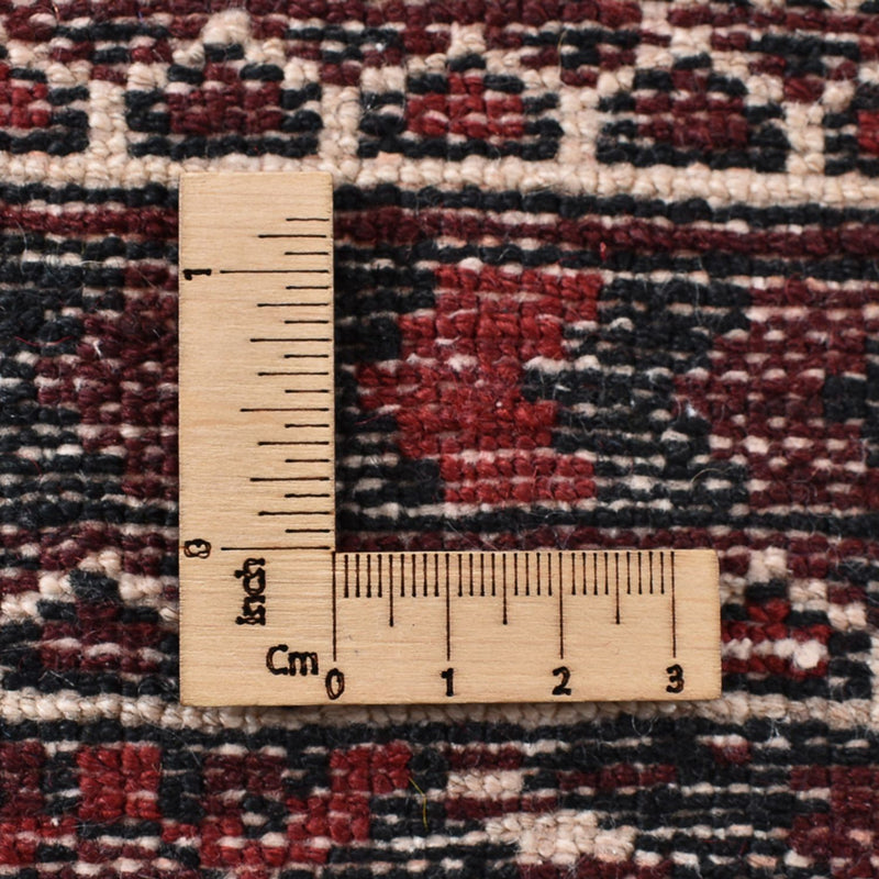 Turkaman Teppich - 303 x 200 cm - mehrfarbig