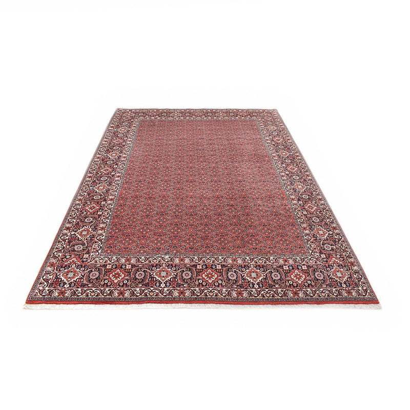 Perserteppich - Bidjar - 300 x 203 cm - rost