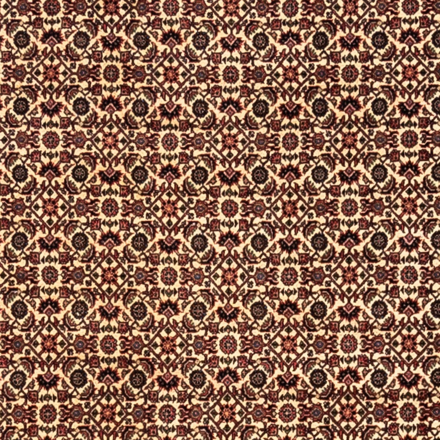 Perserteppich - Bidjar - Royal 302 x 208 cm