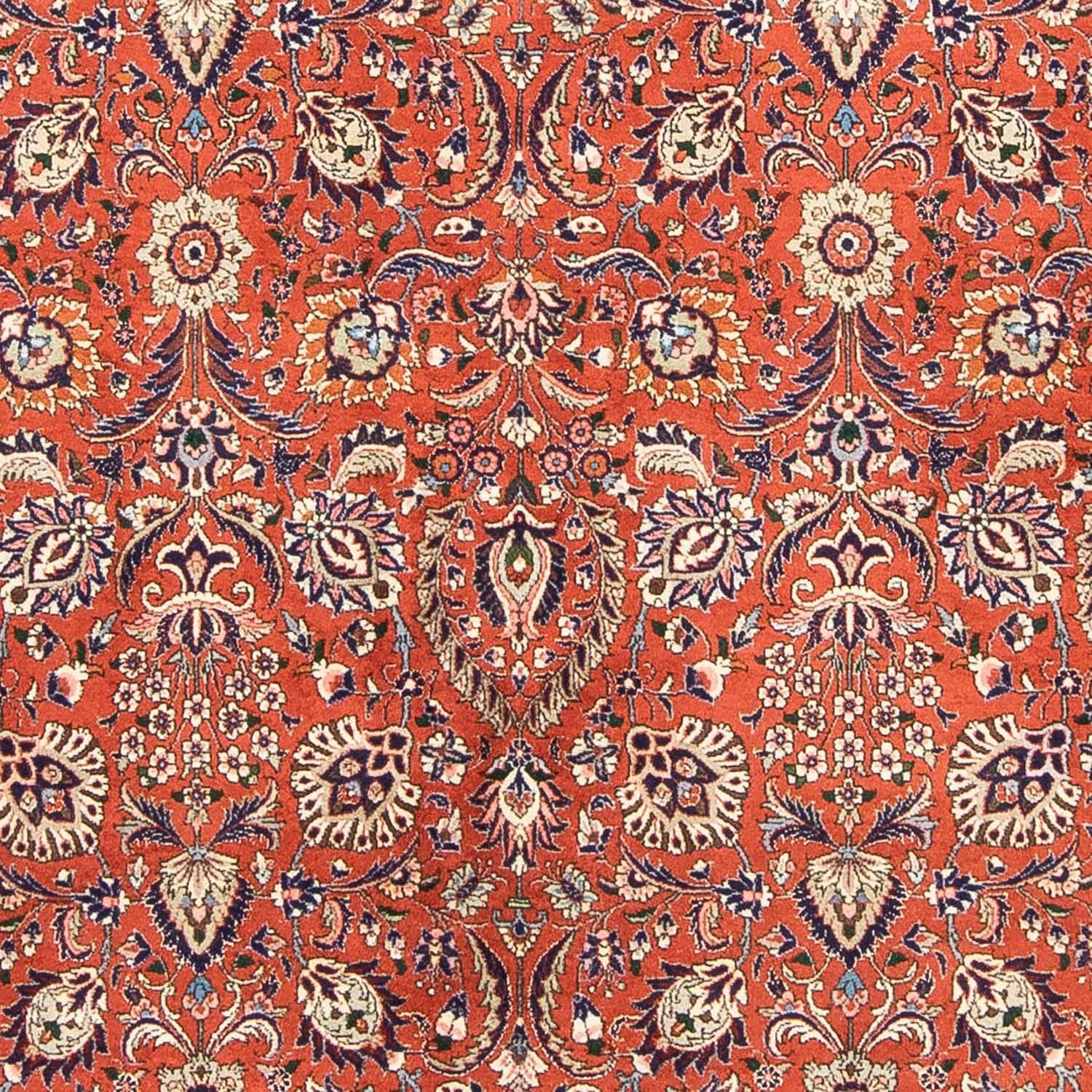 Perserteppich - Bidjar 243 x 172 cm