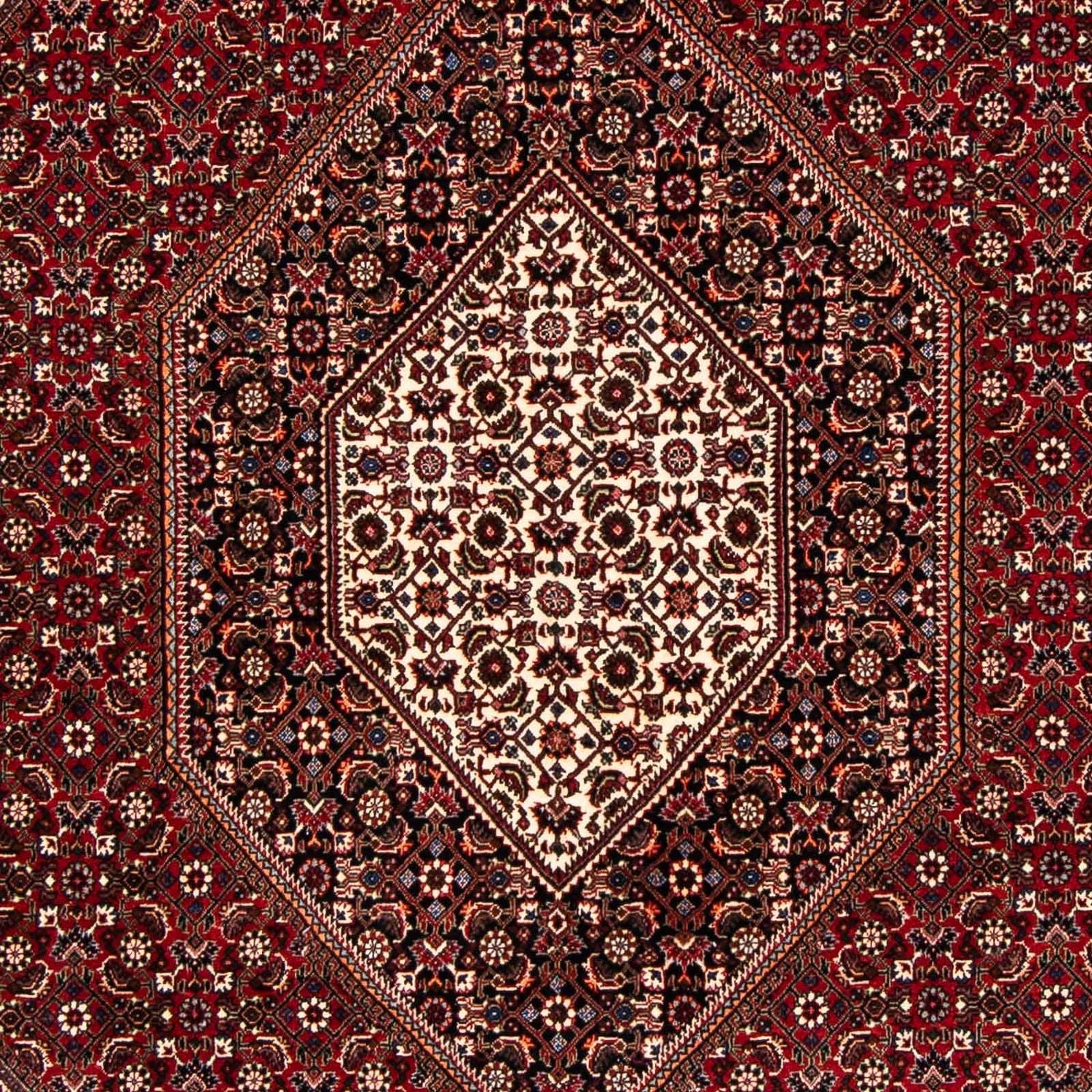 Perserteppich - Bidjar 238 x 165 cm Teppich Wohnzimmer
