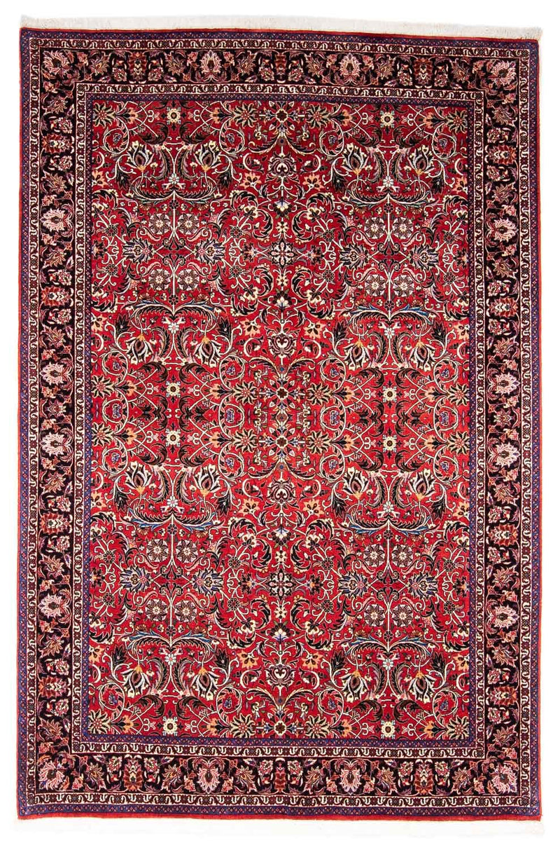 Perserteppich - Bidjar 242 x 175 cm