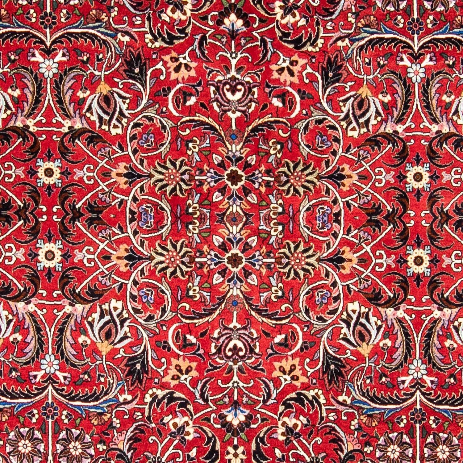 Perserteppich - Bidjar 242 x 175 cm