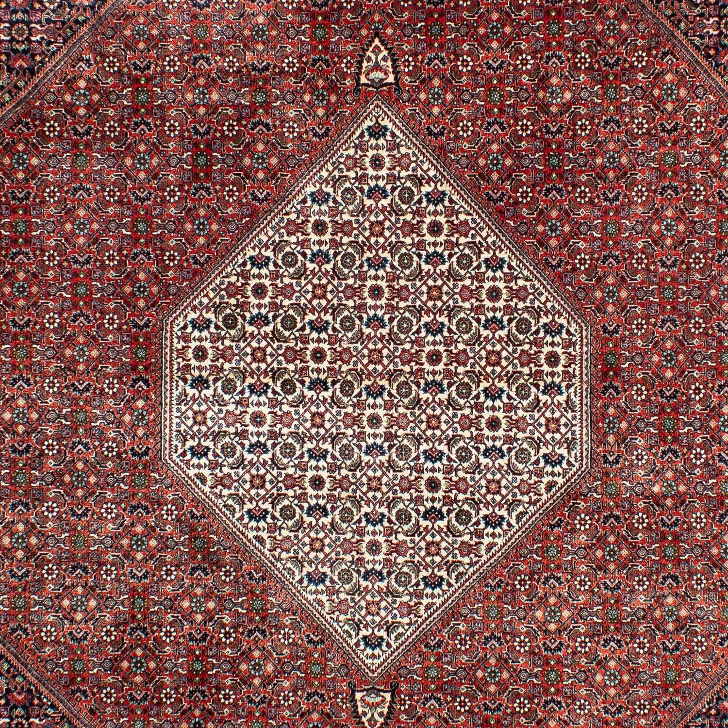 Perserteppich - Bidjar 301 x 208 cm
