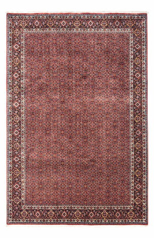 Perserteppich - Bidjar - Royal 306 x 204 cm