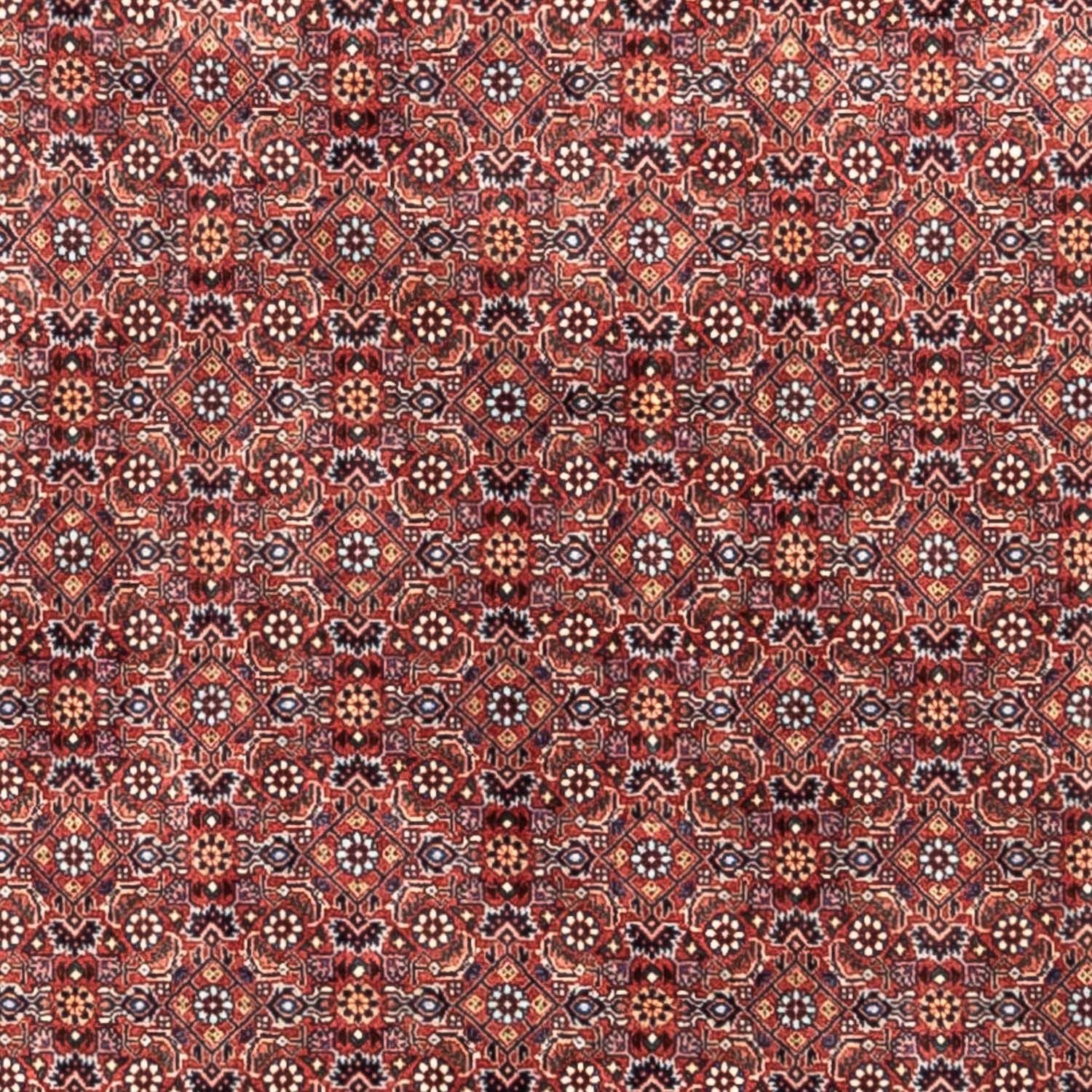 Perserteppich - Bidjar - Royal 306 x 204 cm