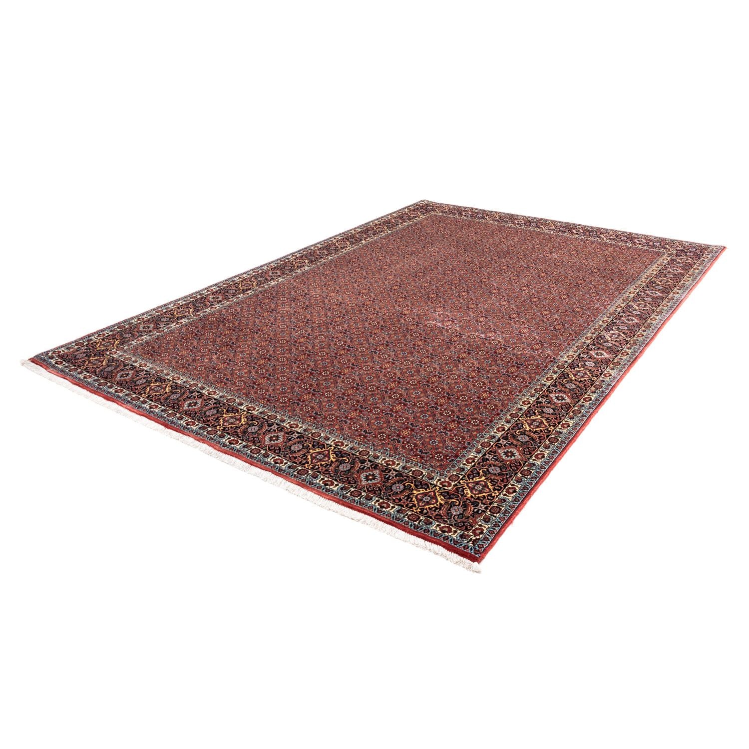 Perserteppich - Bidjar - Royal 306 x 204 cm