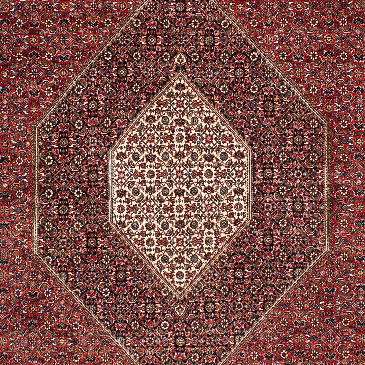 Perserteppich - Bidjar 309 x 208 cm