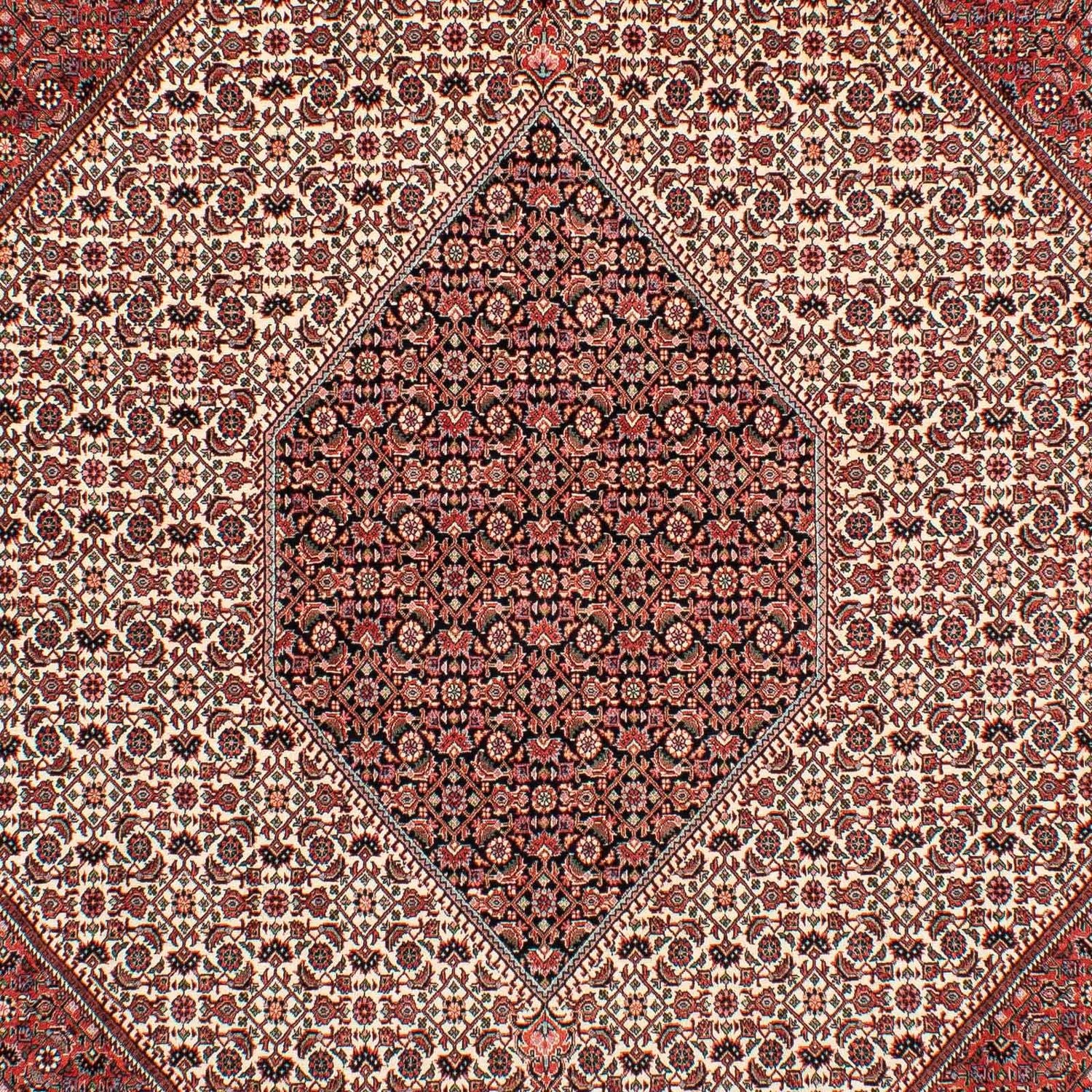 Perserteppich - Bidjar 289 x 204 cm