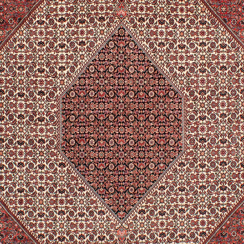 Perserteppich - Bidjar 289 x 204 cm