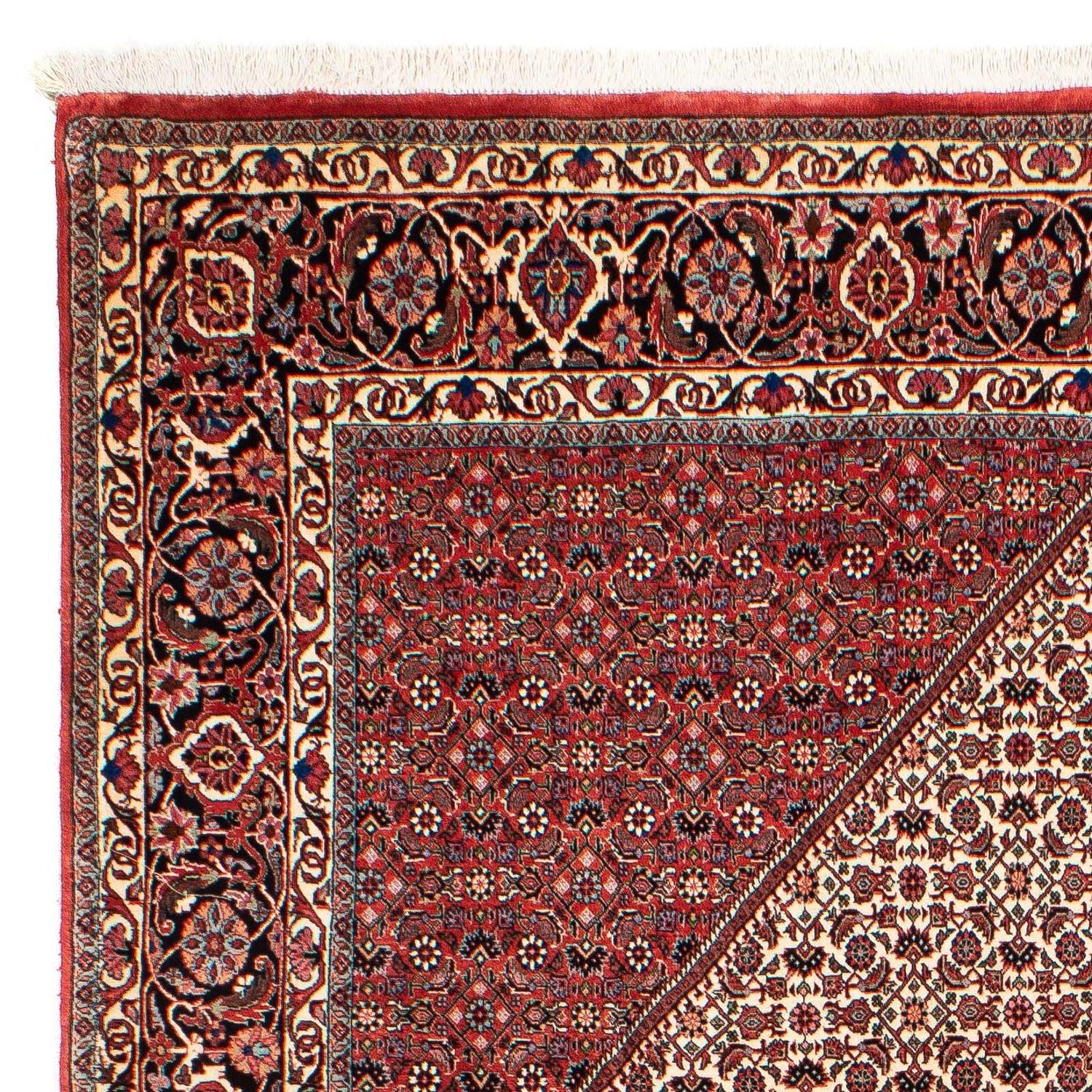 Perserteppich - Bidjar 289 x 204 cm