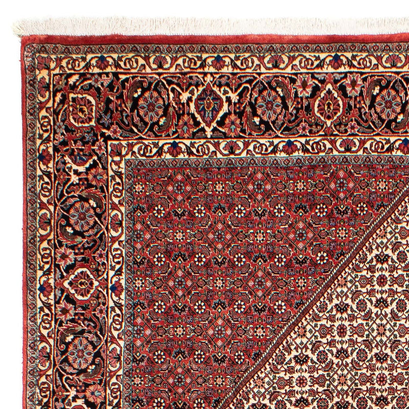 Perserteppich - Bidjar 289 x 204 cm