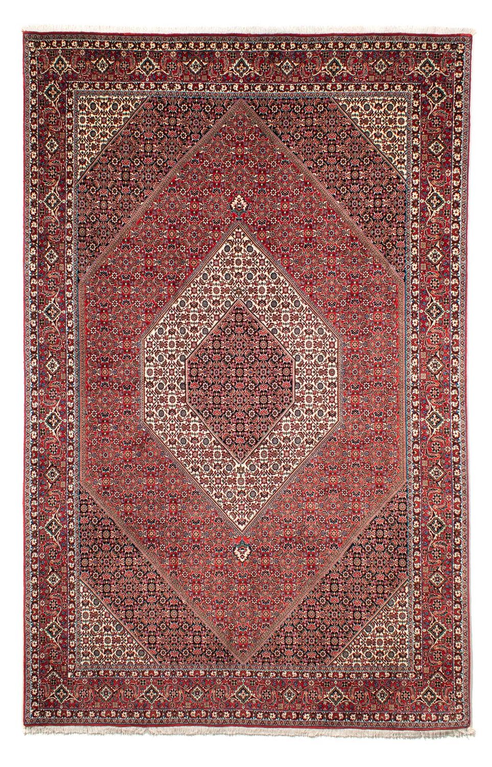 Perserteppich - Bidjar 300 x 203 cm