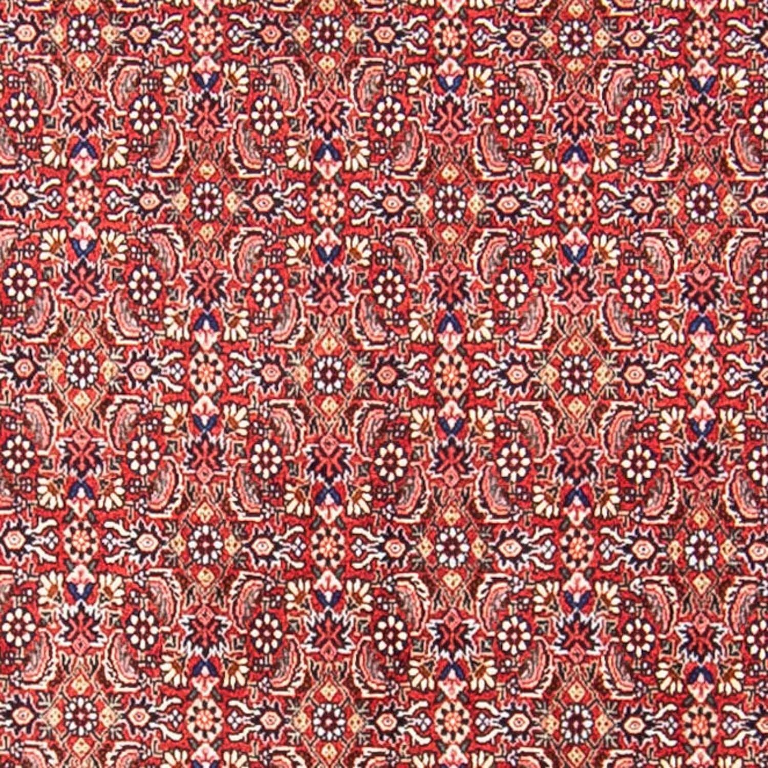 Perserteppich - Bidjar 307 x 248 cm