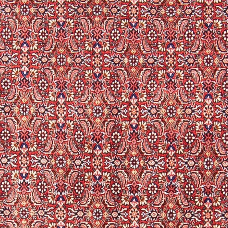 Perserteppich - Bidjar 307 x 248 cm