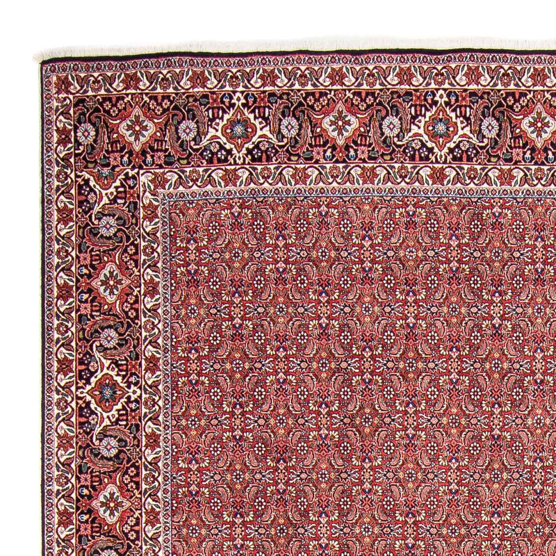 Perserteppich - Bidjar 307 x 248 cm