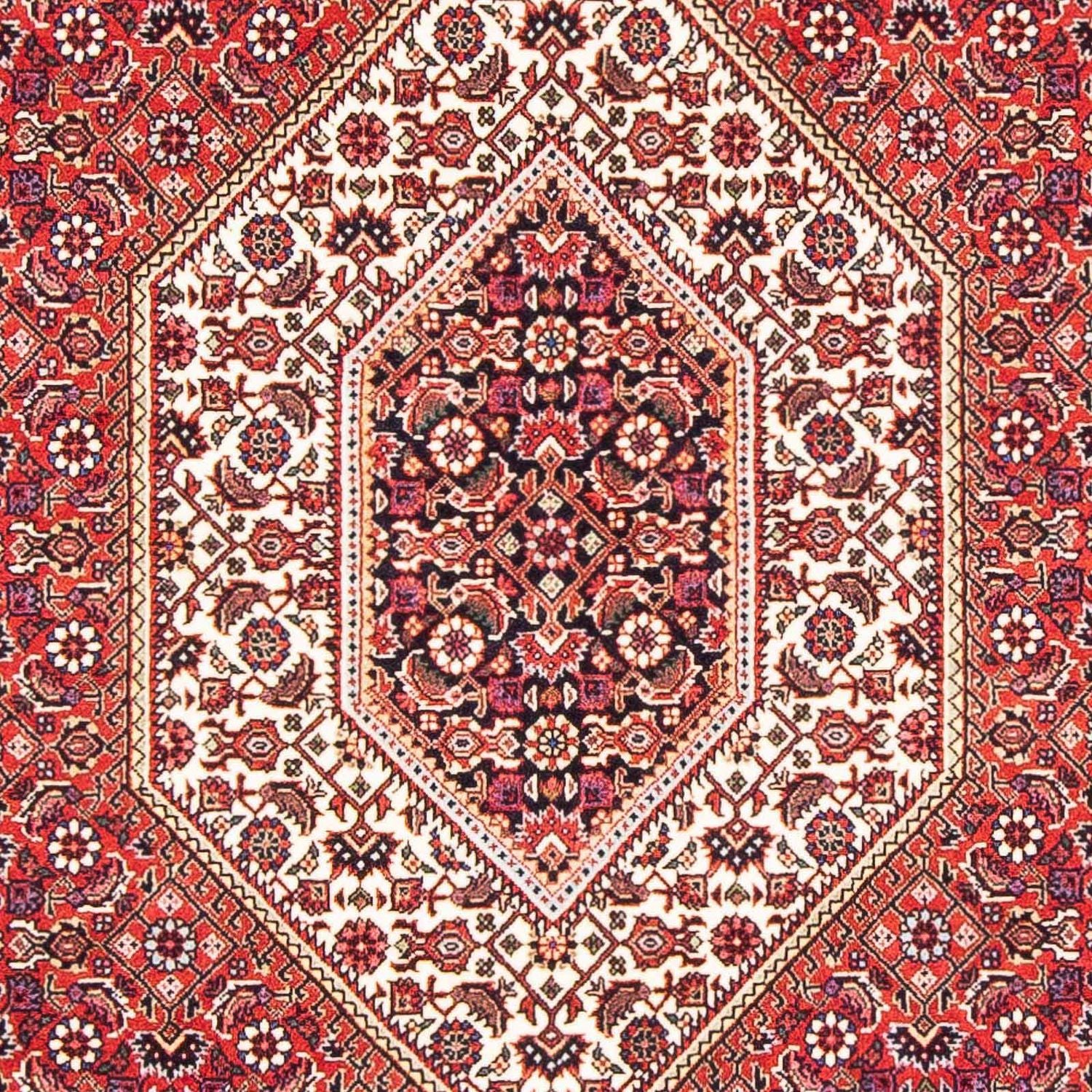 Perserteppich - Bidjar - Royal 171 x 112 cm