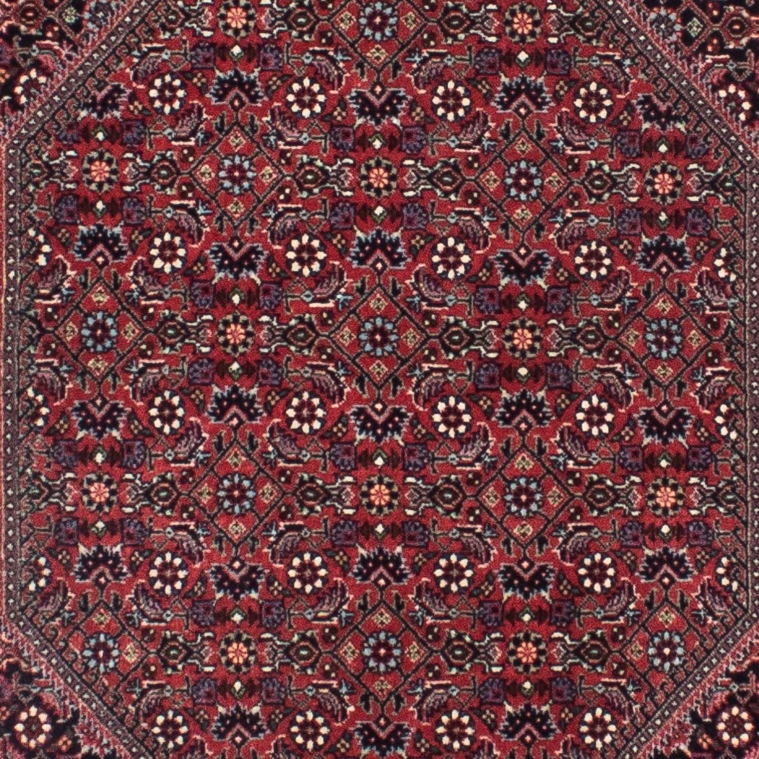 Perserteppich - Bidjar - Royal 313 x 84 cm