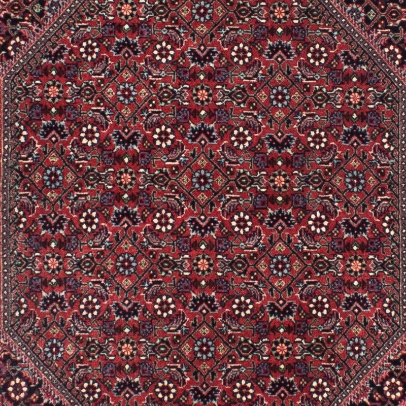 Perserteppich - Bidjar - Royal 313 x 84 cm