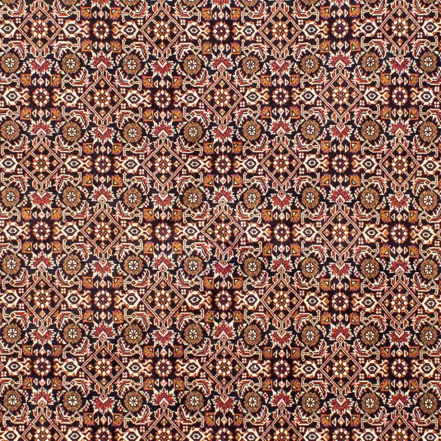 Perserteppich - Bidjar 243 x 171 cm