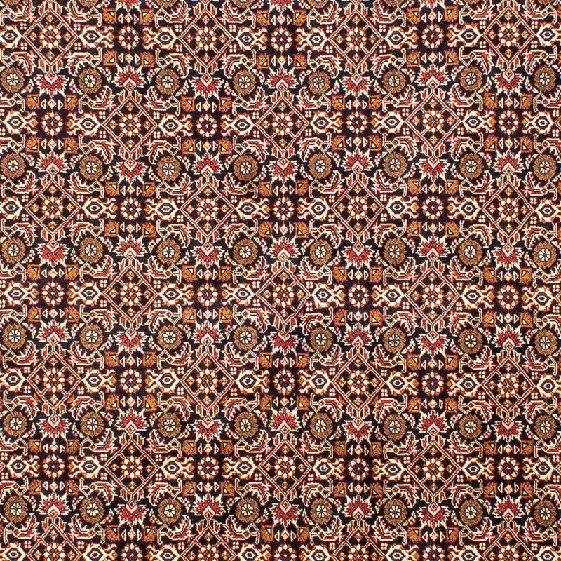 Perserteppich - Bidjar 243 x 171 cm