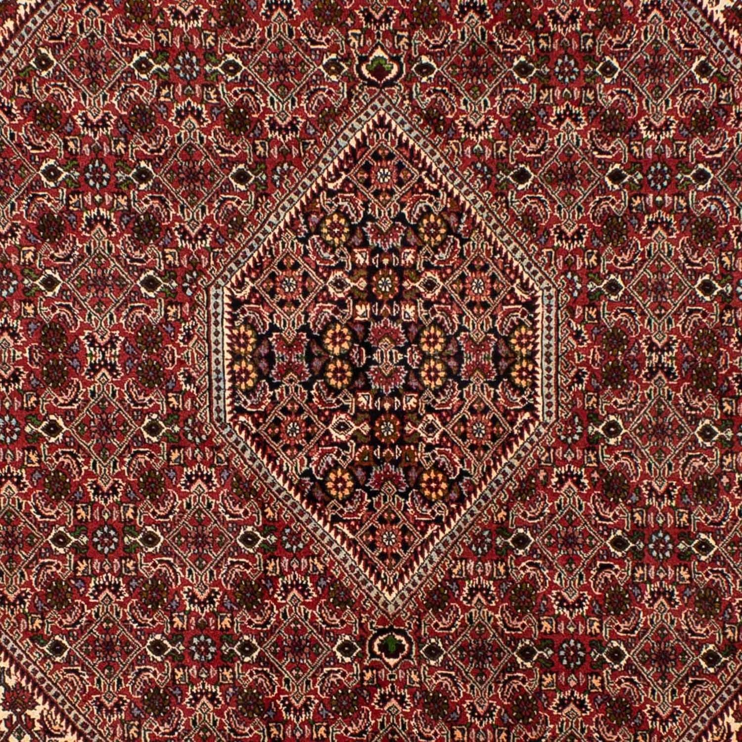 Perserteppich - Bidjar 251 x 173 cm