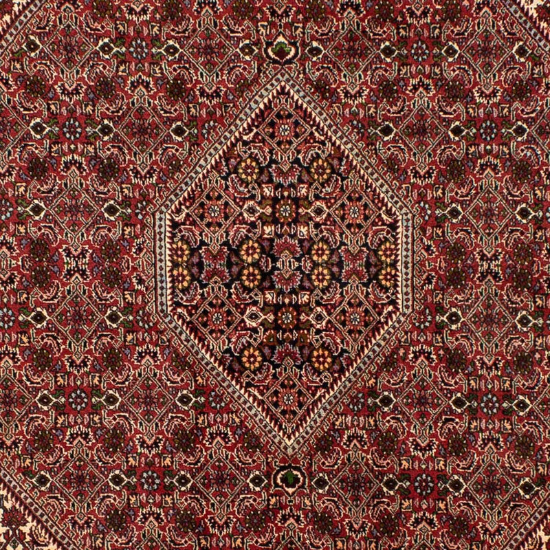 Perserteppich - Bidjar 251 x 173 cm