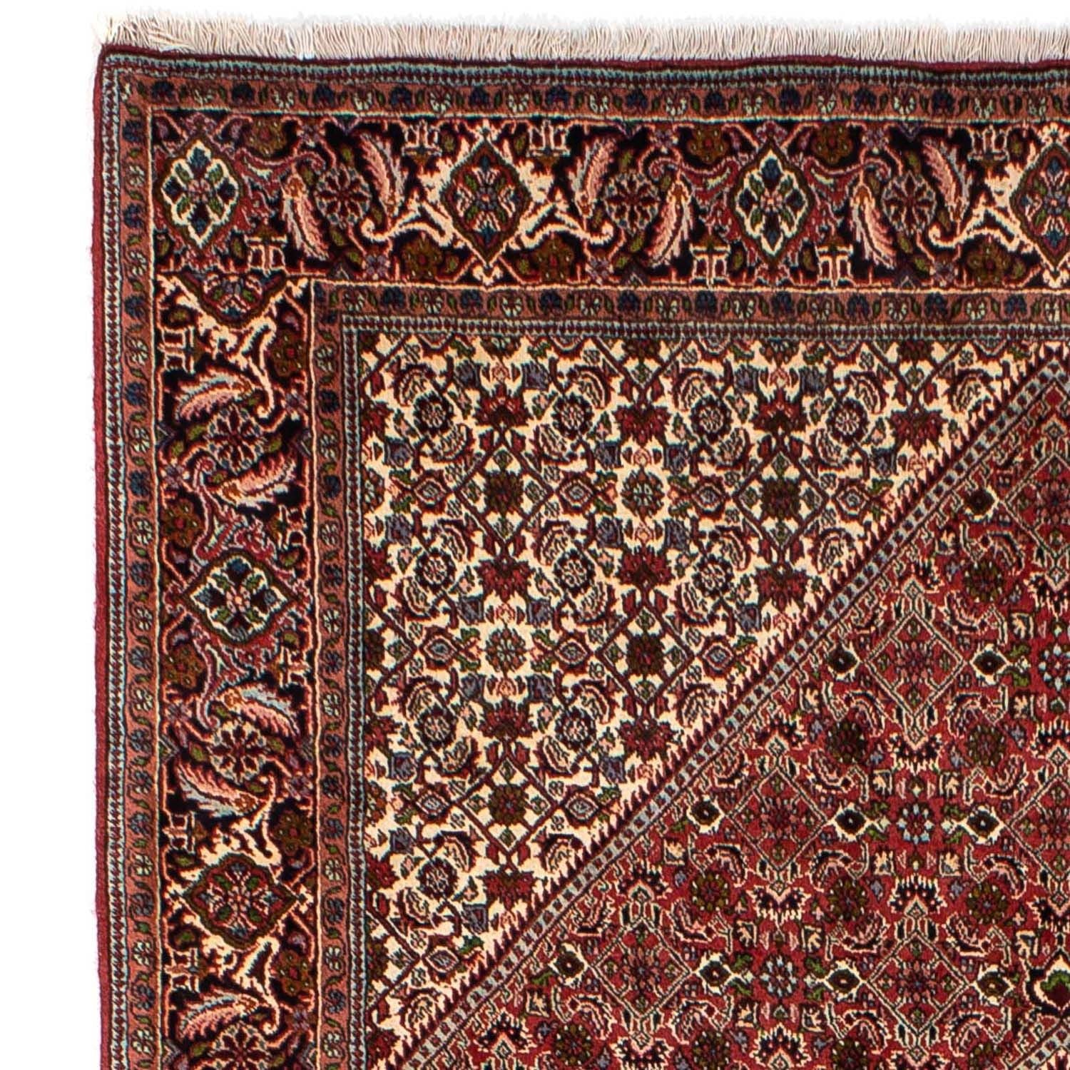 Perserteppich - Bidjar 251 x 173 cm