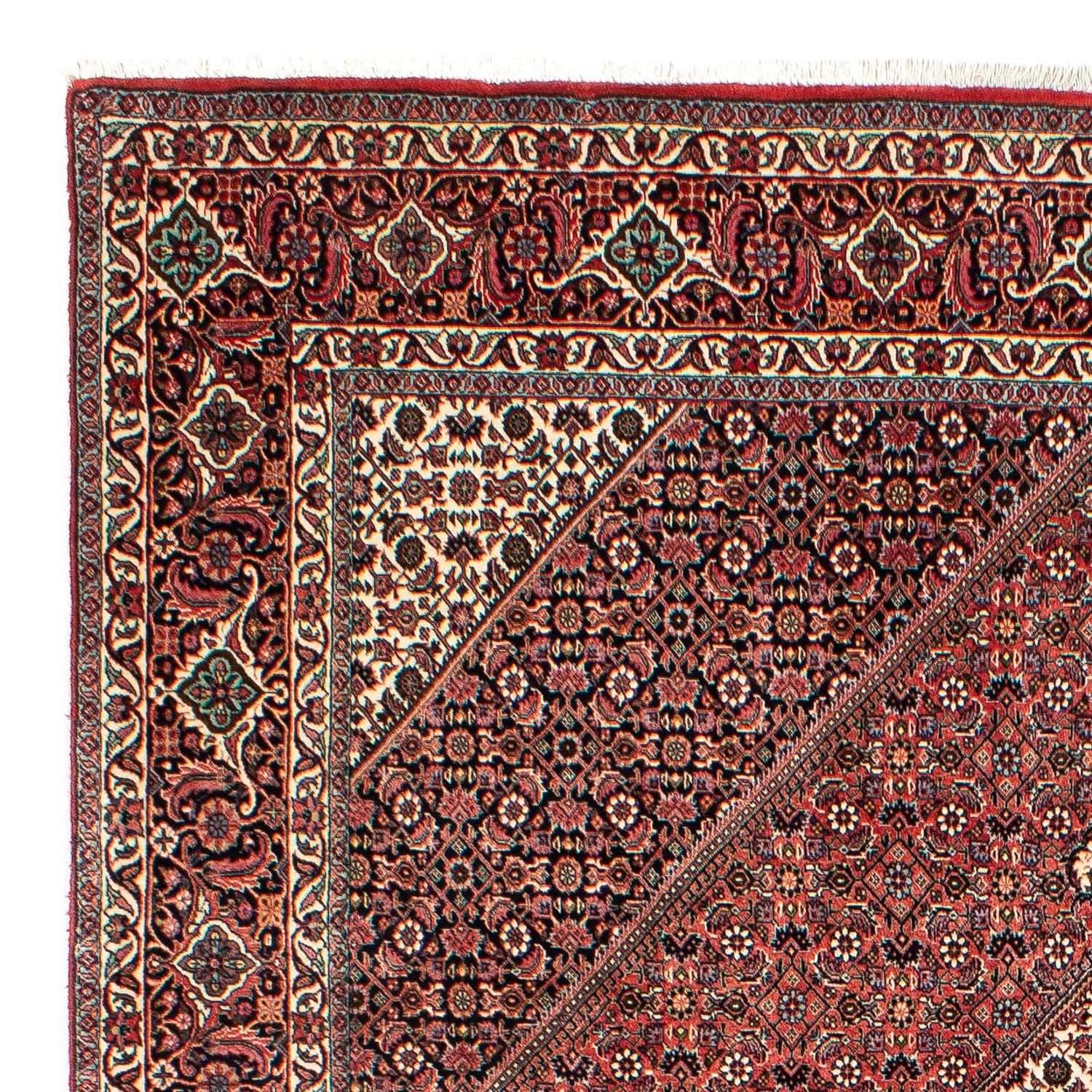 Perserteppich - Bidjar 293 x 203 cm