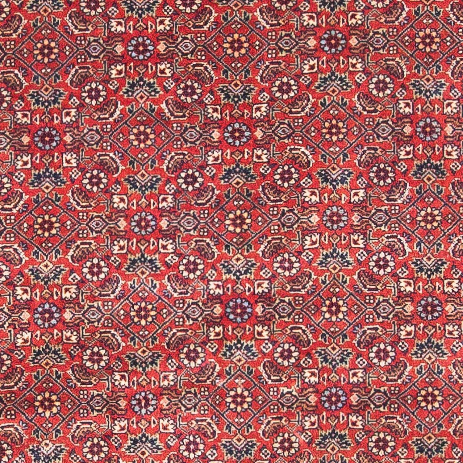Perserteppich - Bidjar - Royal 162 x 89 cm