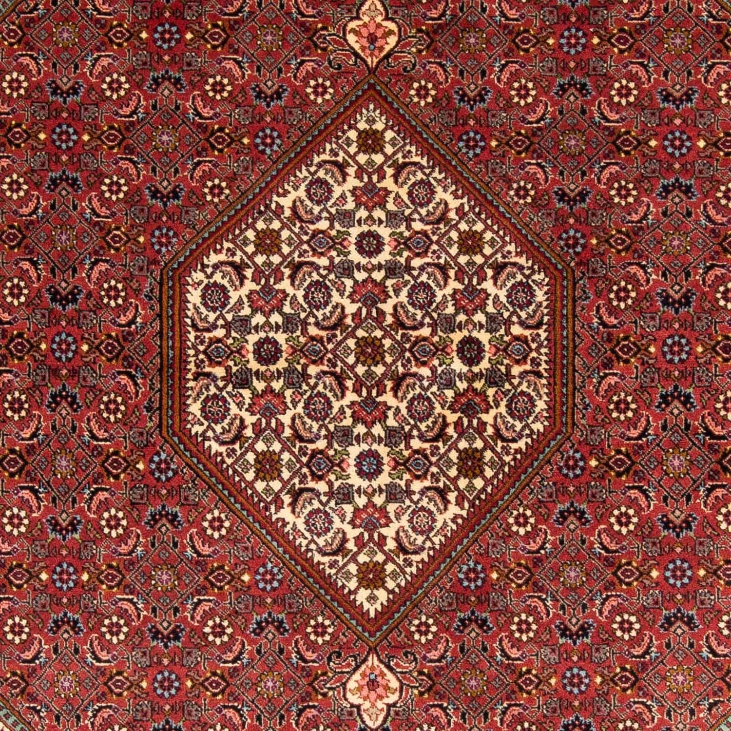 Perserteppich - Bidjar 242 x 171 cm
