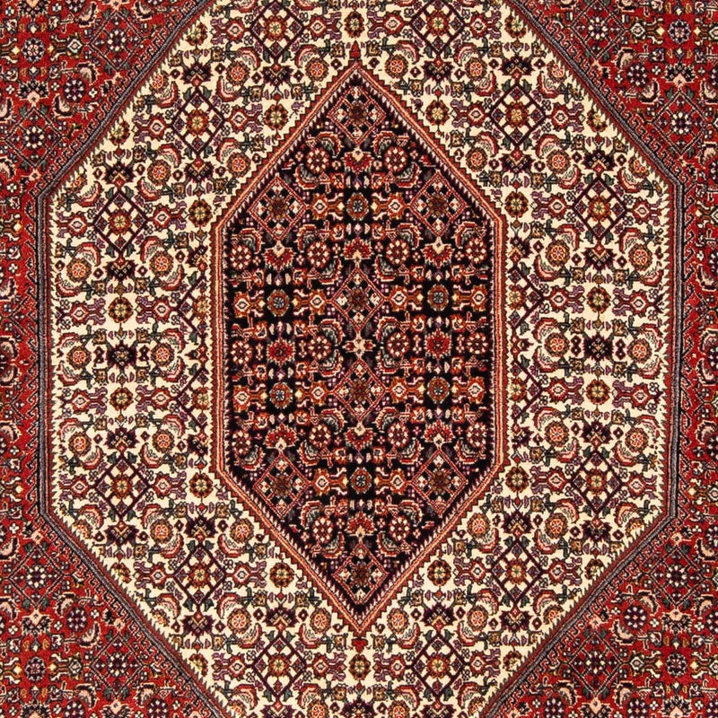 Perserteppich - Bidjar 244 x 153 cm