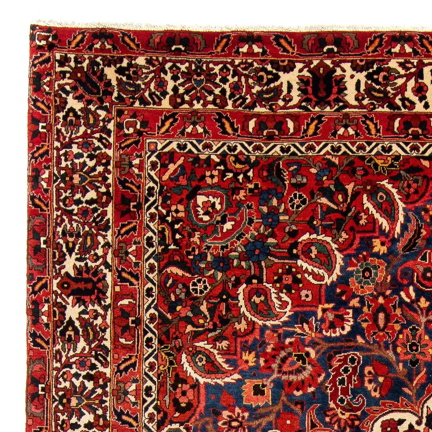 Ziegler Teppich - Bachtiari 375 x 272 cm