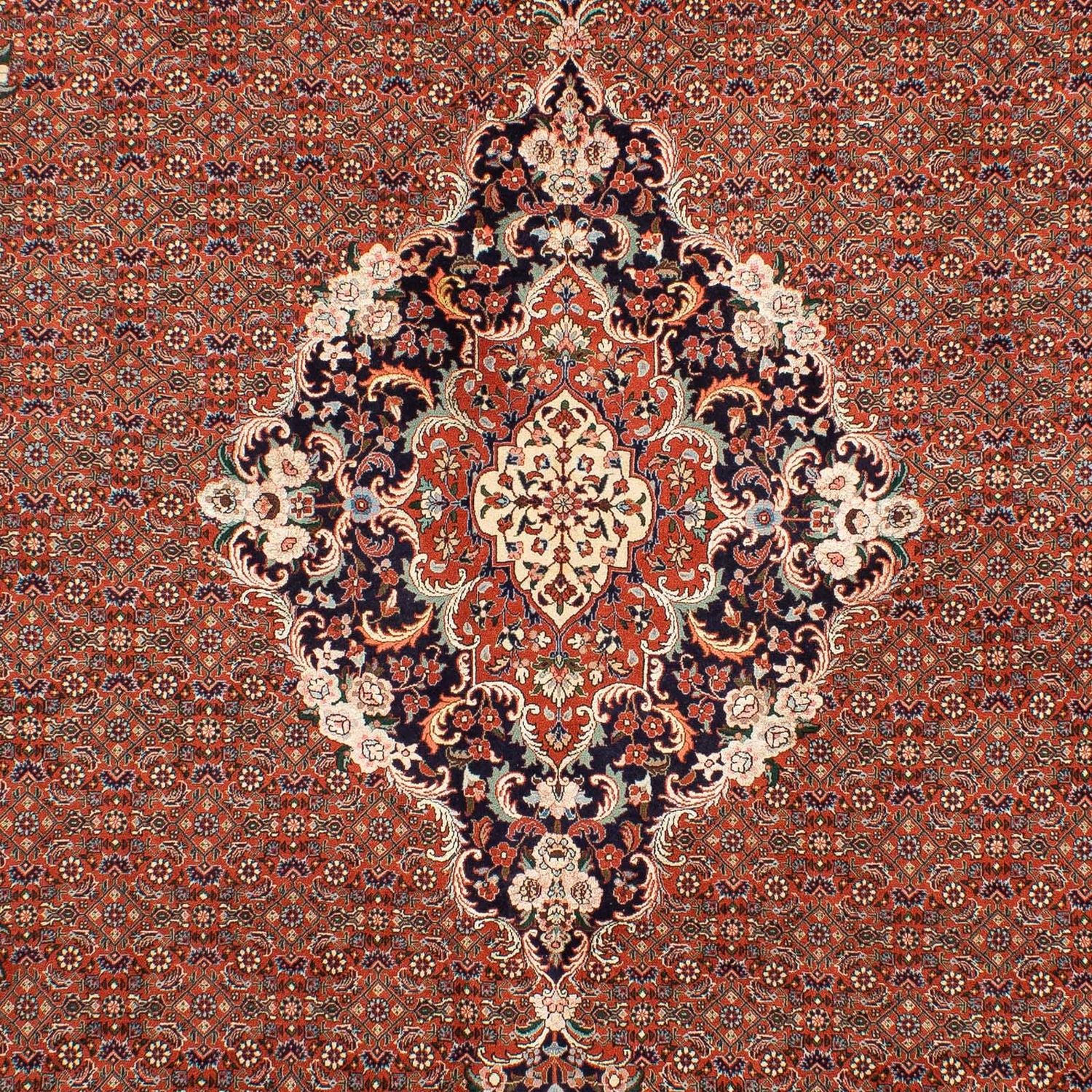 Perserteppich - Bidjar 288 x 206 cm