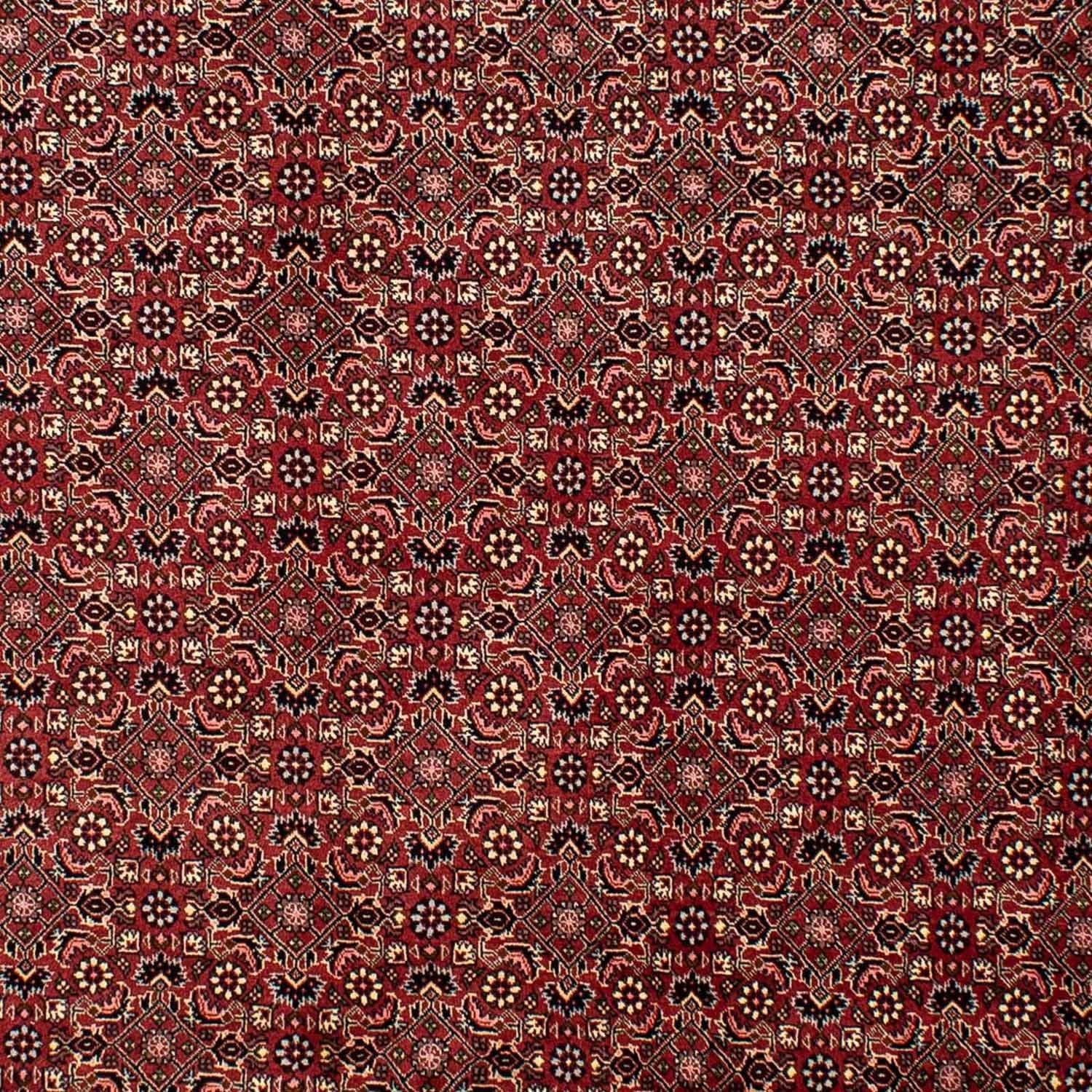 Perserteppich - Bidjar 290 x 195 cm