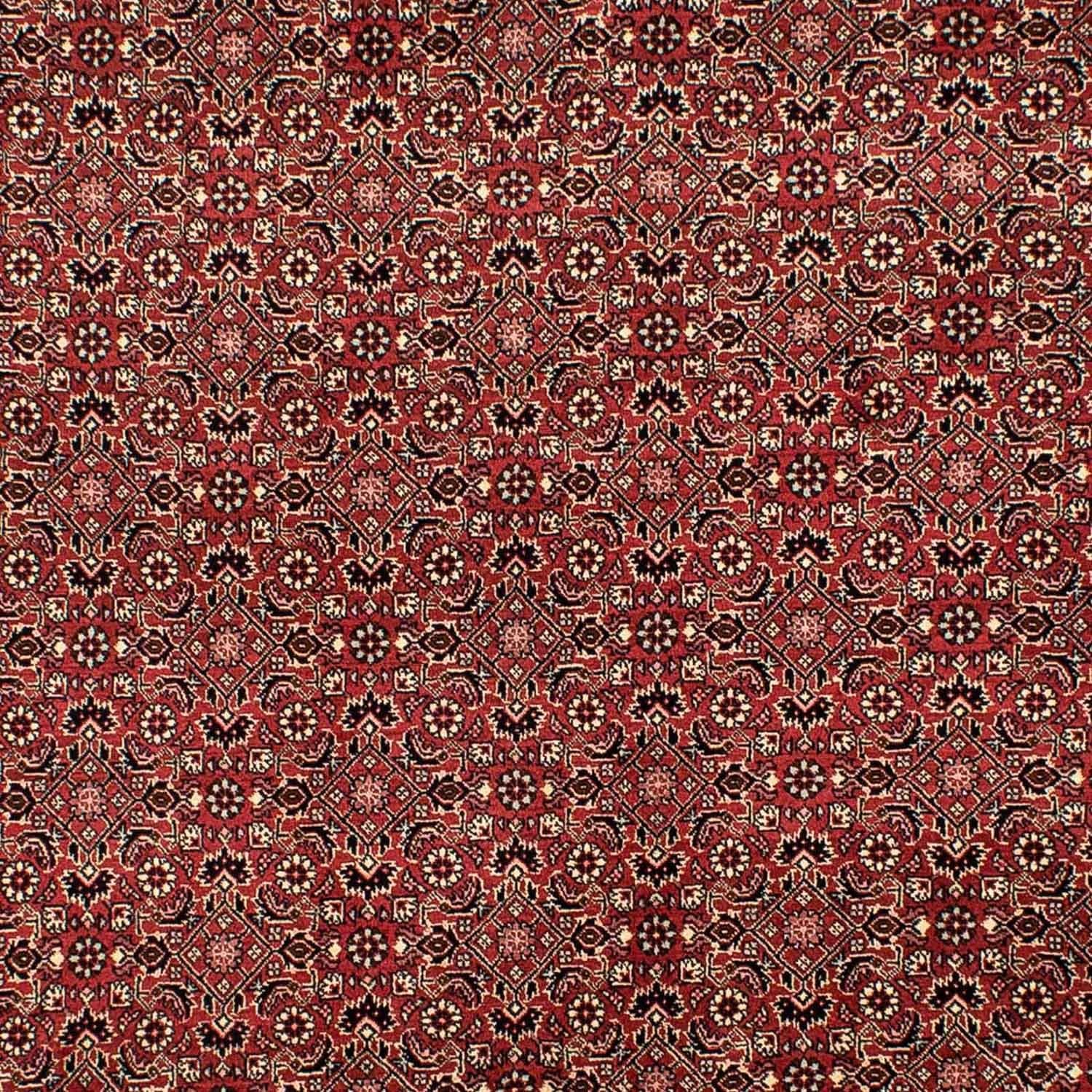 Perserteppich - Bidjar 305 x 198 cm