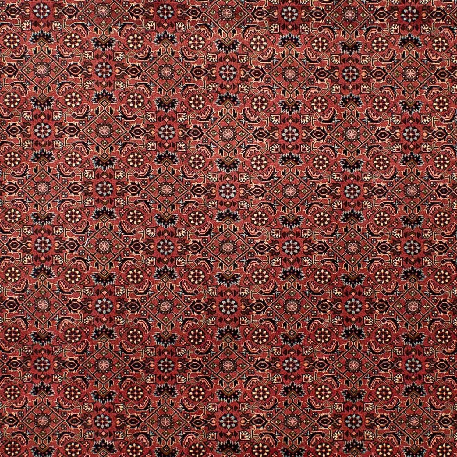 Perserteppich - Bidjar 292 x 203 cm